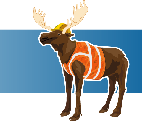 Moose in safety vest and hard hat